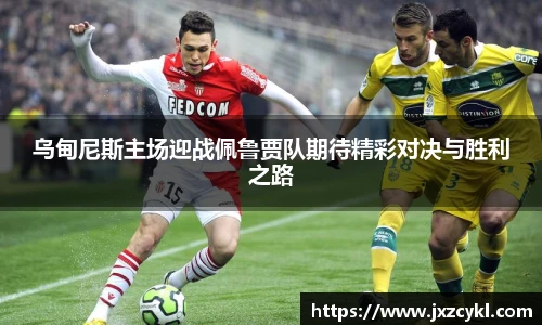 球信网