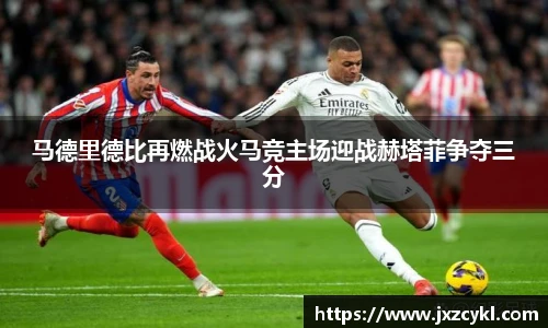 球信网